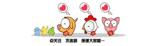 网上卖宠物粮食好卖吗,网上买的宠物粮可以放心吗