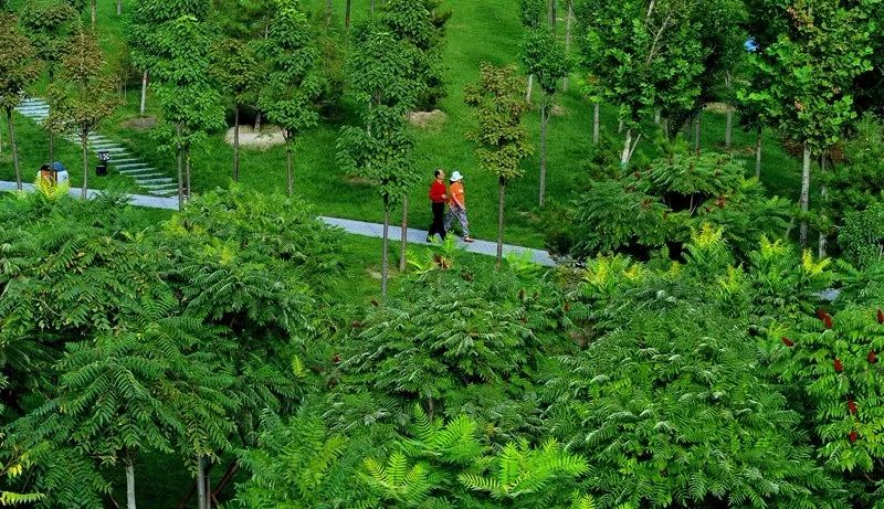 游玩大美沧州,沧州旅游2020