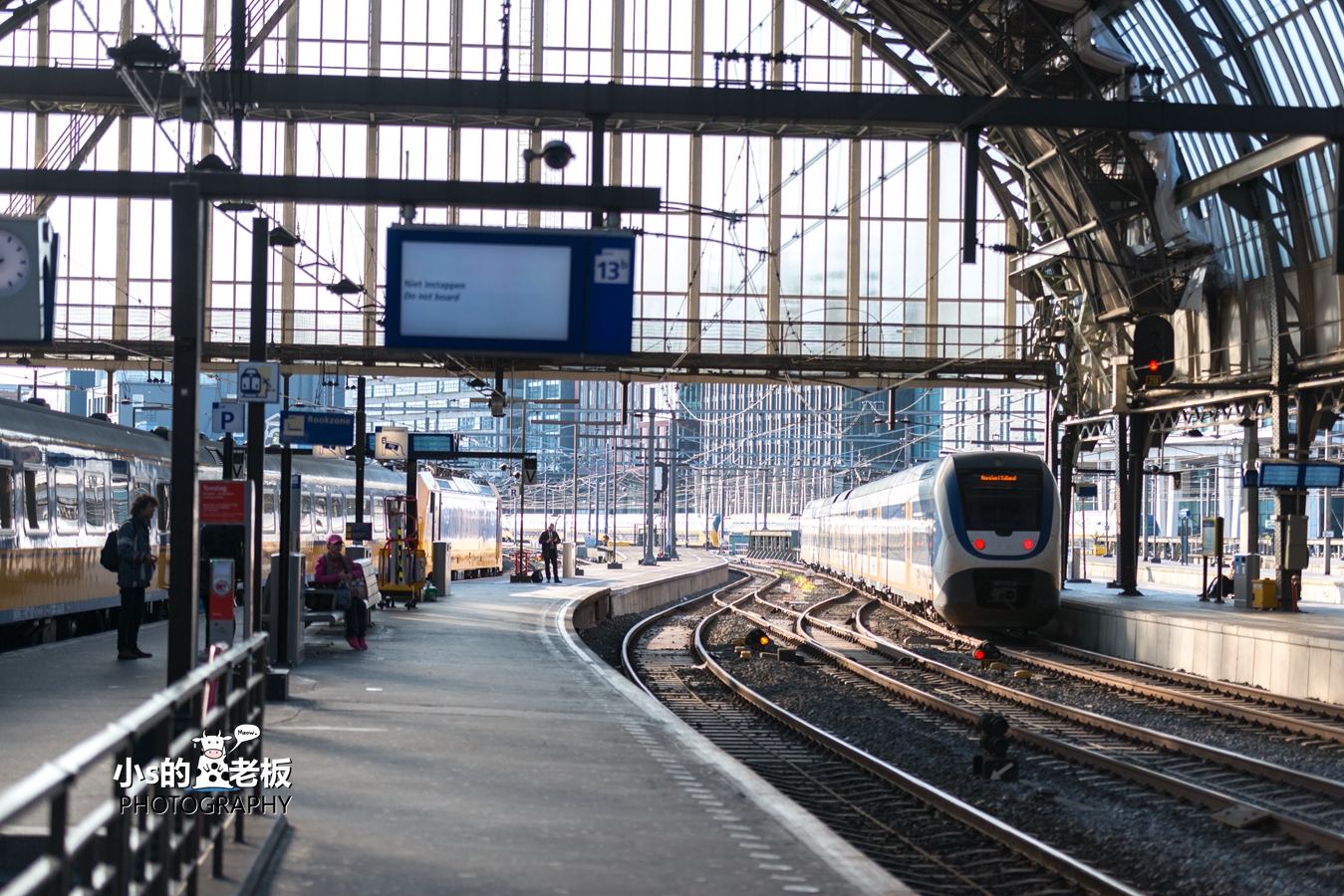 2018荷兰花海,荷兰郁金香自驾游攻略