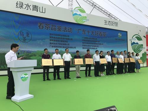 广东清远有座最美茶园,全国十大最美茶园图片