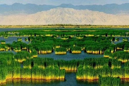 福建人在宁夏旅游优惠,福建人在宁夏免门票