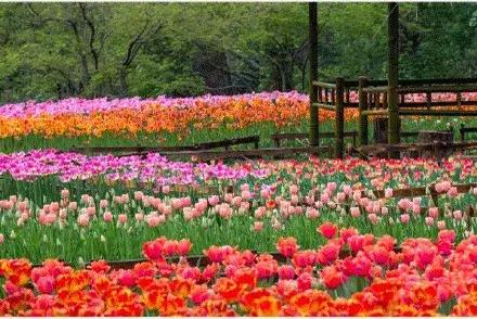 涓嶈缇℃厱鍑哄幓鏃呮父鐨勪汉,涓嶈缇℃厱鍑哄浗鏃呮父