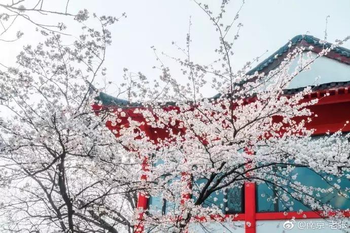 涓嶈缇℃厱鍑哄幓鏃呮父鐨勪汉,涓嶈缇℃厱鍑哄浗鏃呮父