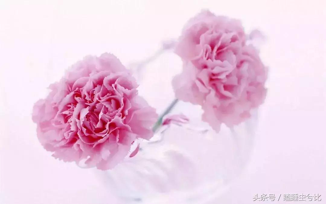 母亲节送妈妈什么礼物比较实用,母亲节送给妈妈应该送几枝花