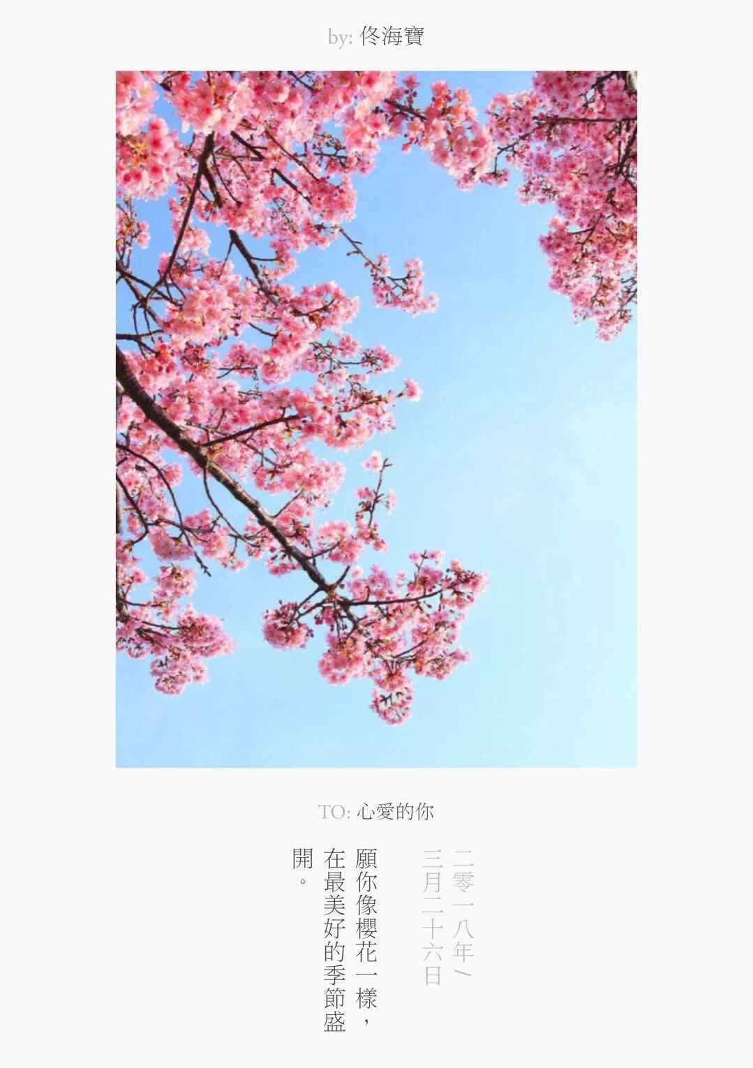 有什么app拍照好看可以加文字,在照片上添加文字哪个app好