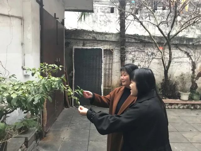 姣嶄翰鑺傜壒杈戞瀵熼櫌,姣嶄翰鑺傛瀵熼櫌鐗硅緫