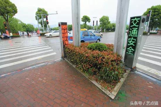 中国式过马路危险吗,中国式过马路原因