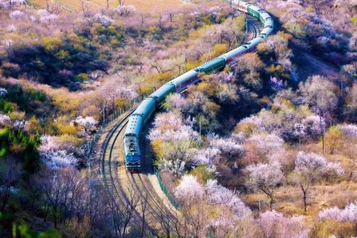 绱㈠凹榛戝崱7鐩告満鍏ラ棬鏁欑▼,绱㈠凹zv-1vlog鐩告満鍏ラ棬