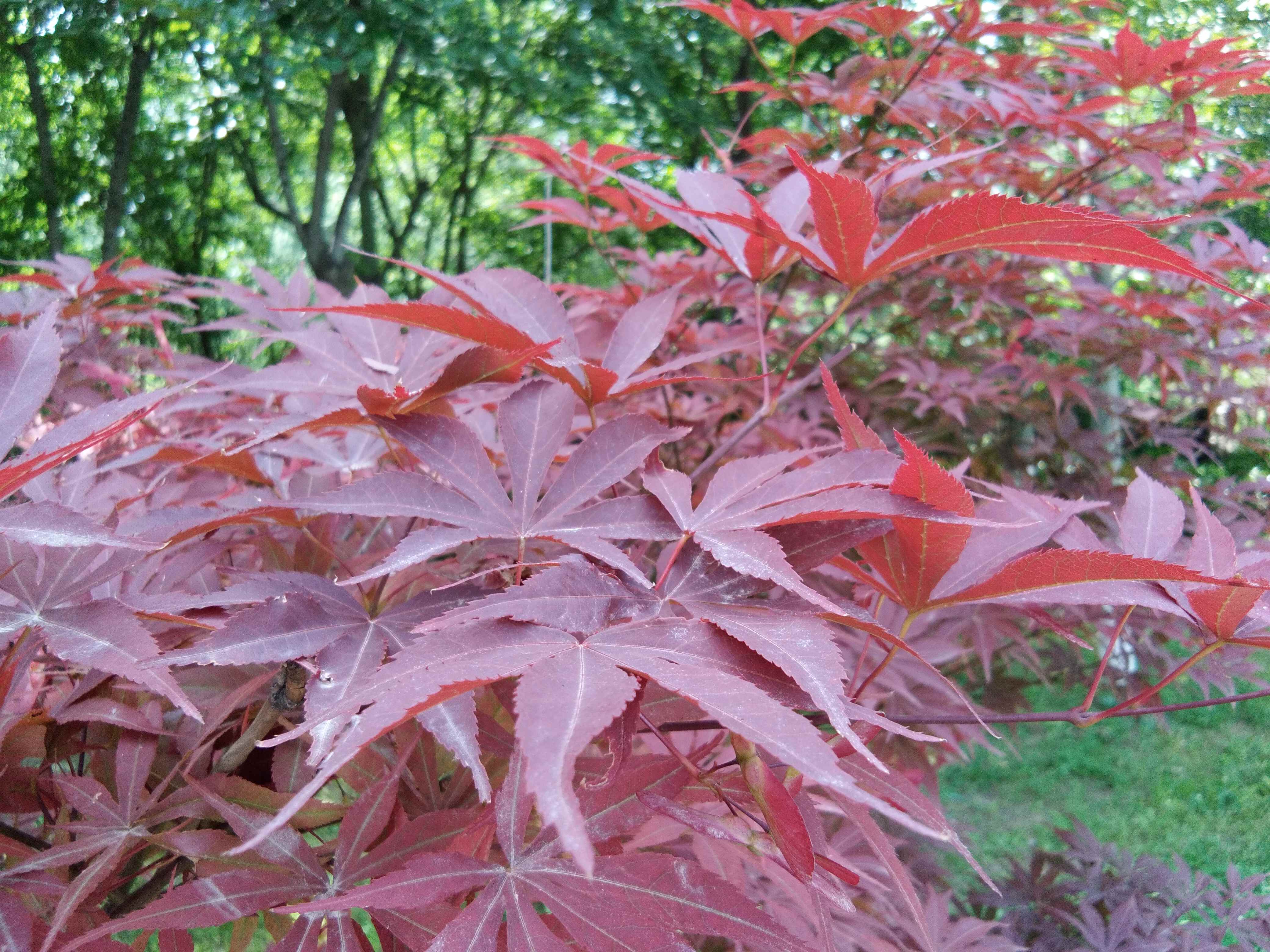 脚踏汉城湖公园全程!感受汉武辉煌!