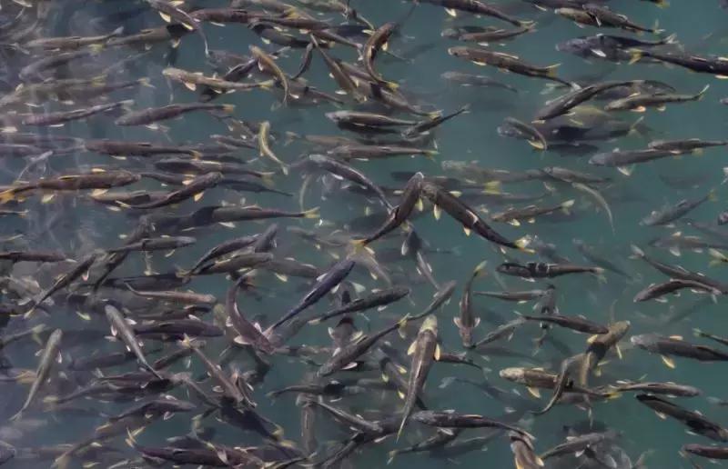 我们为什么要去大西北,为什么要去大西北旅行的理由是啥