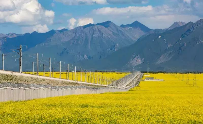 我们为什么要去大西北,为什么要去大西北旅行的理由是啥