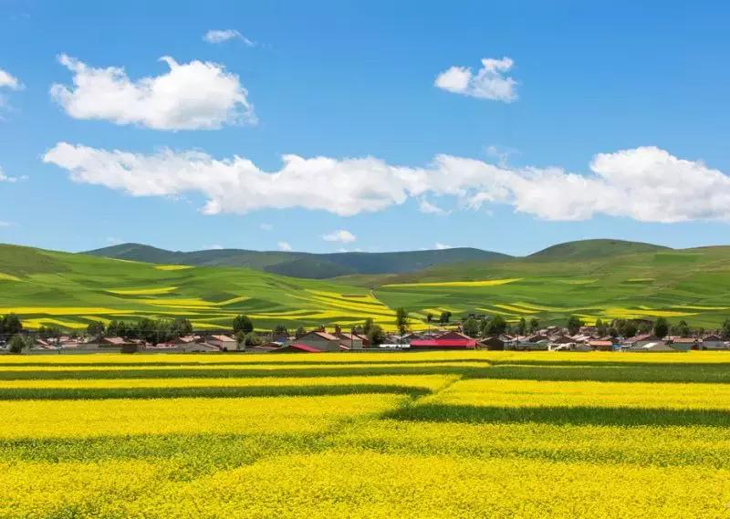 我们为什么要去大西北,为什么要去大西北旅行的理由是啥