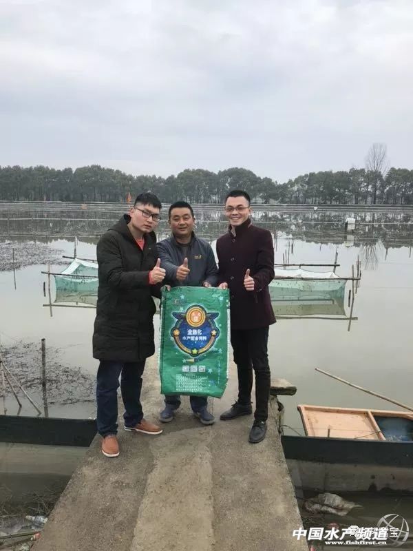 蟹苗高产秘诀,养殖精品蟹