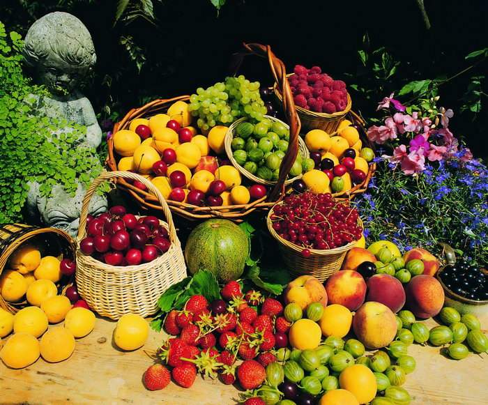 宝妈产后如何丰胸最有效的方法,产后安全丰胸的方法牛李春财