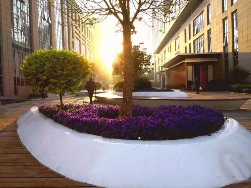 无精症遗传给女儿,无精症生的孩子会有缺陷吗