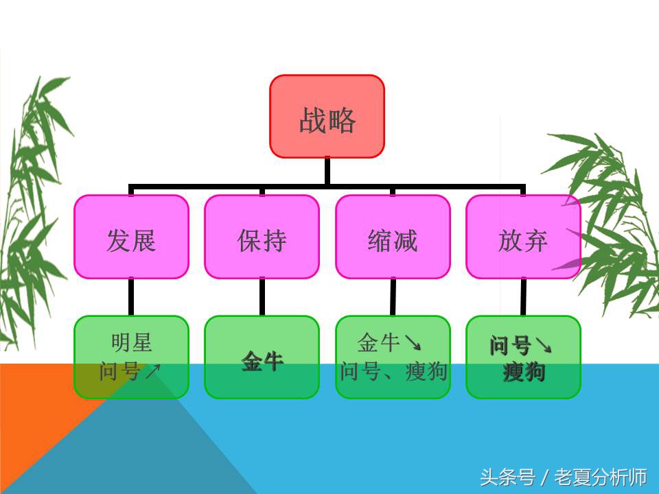 市场营销战略规划案例分析,市场营销战略策划和战术