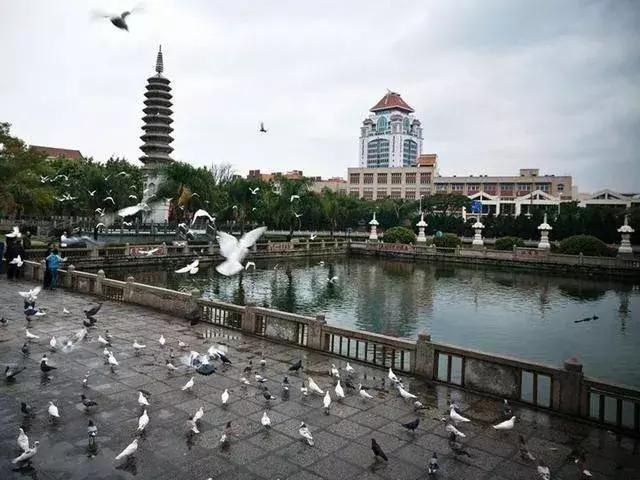 厦门旅游攻略3天2晚自由行本地游,厦门旅游攻略3天2晚自由行亲子