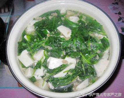 宝宝的喂养知识大全,如何喂养宝宝才会肥肥胖胖的