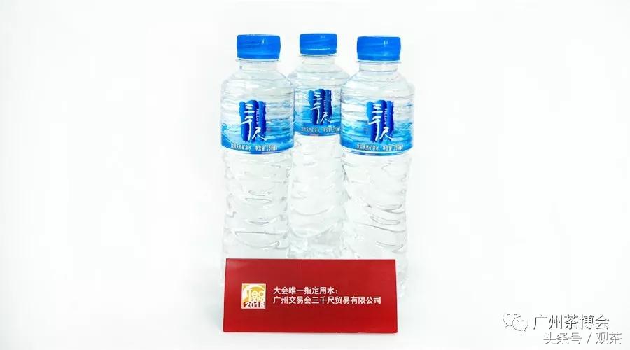 在这里，有春天最美的茶滋味