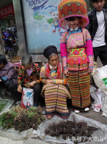 6月18日德昌端午节火爆场面将至，众多中草药先让你辨认，药膳宴等你品尝