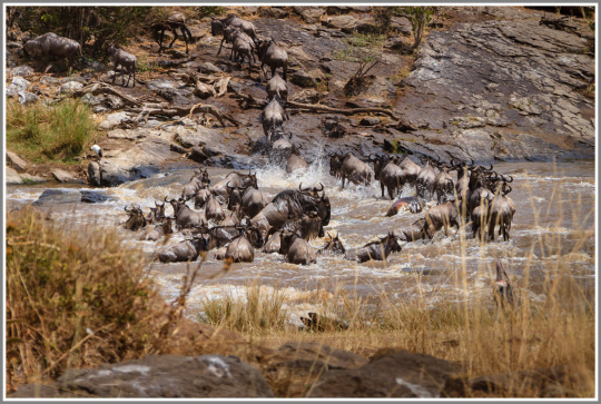 佳能80d和5d2怎么选,佳能5d2和80d拍照对比