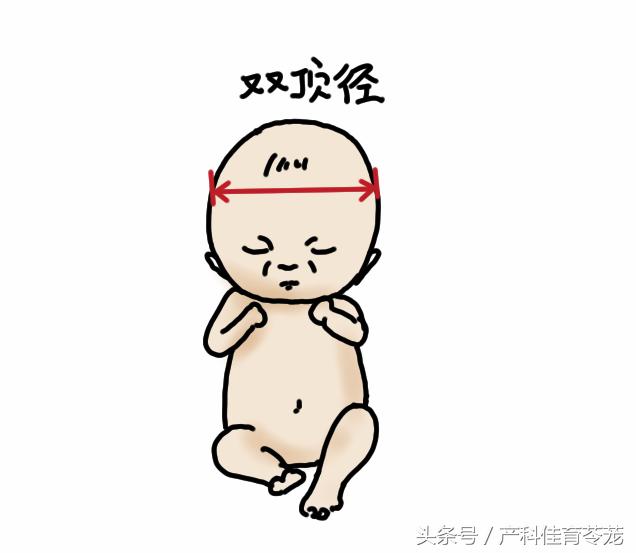 如何看懂乳腺超声检查报告,怎么能让临床医生看懂超声报告