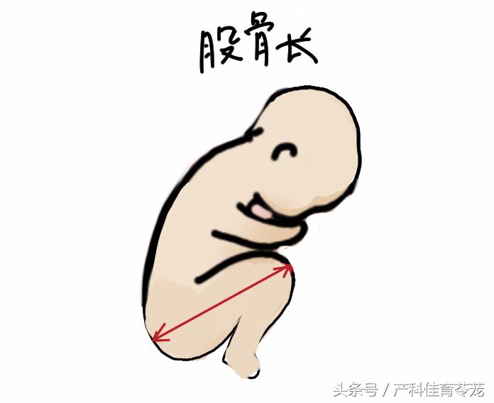 b超的3组数字代表什么,b超图片上的数字