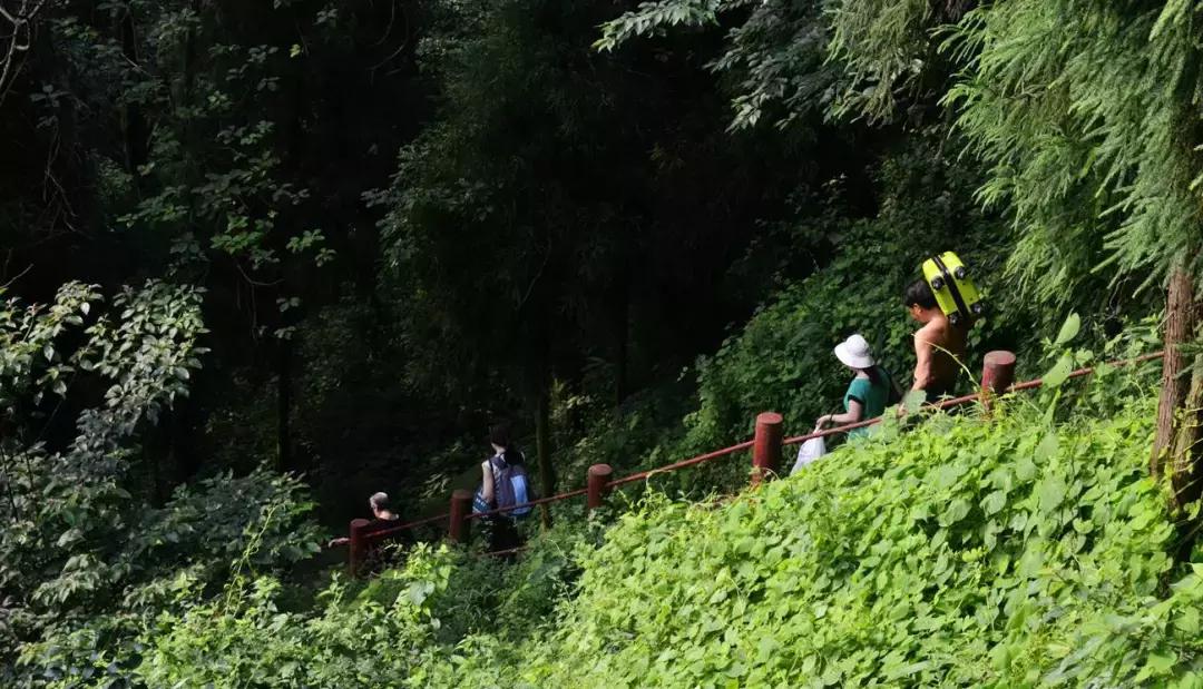 四川青城山景区免票,四川对浙江省免票的旅游景区