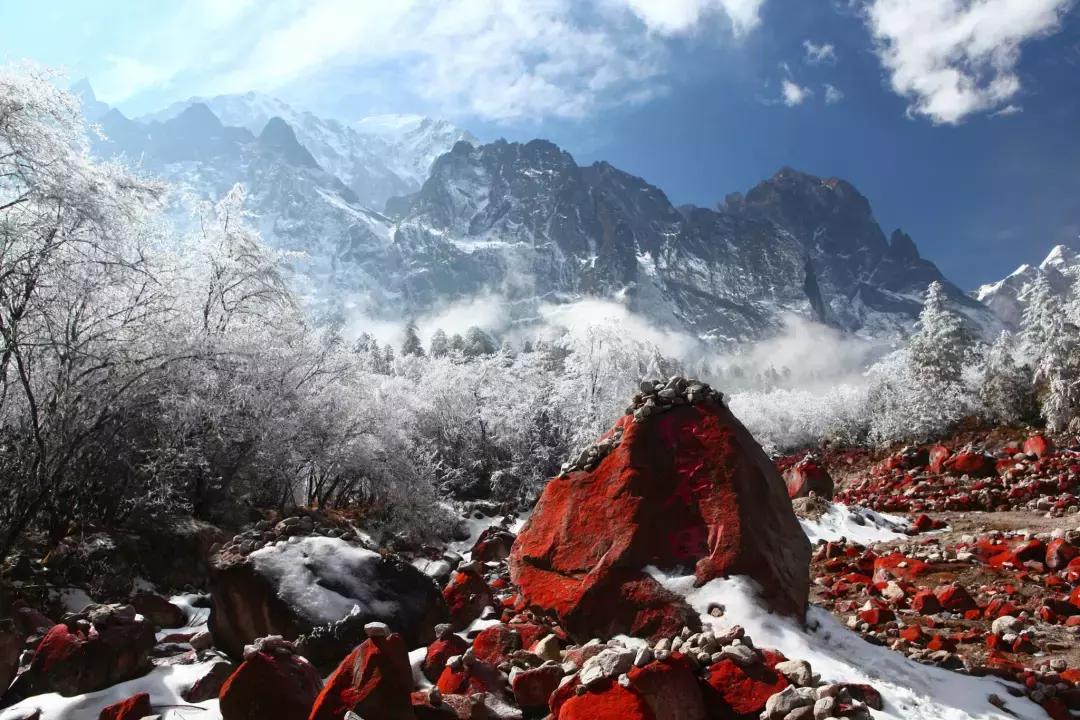 四川青城山景区免票,四川对浙江省免票的旅游景区