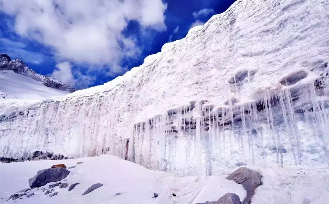 四川青城山景区免票,四川对浙江省免票的旅游景区