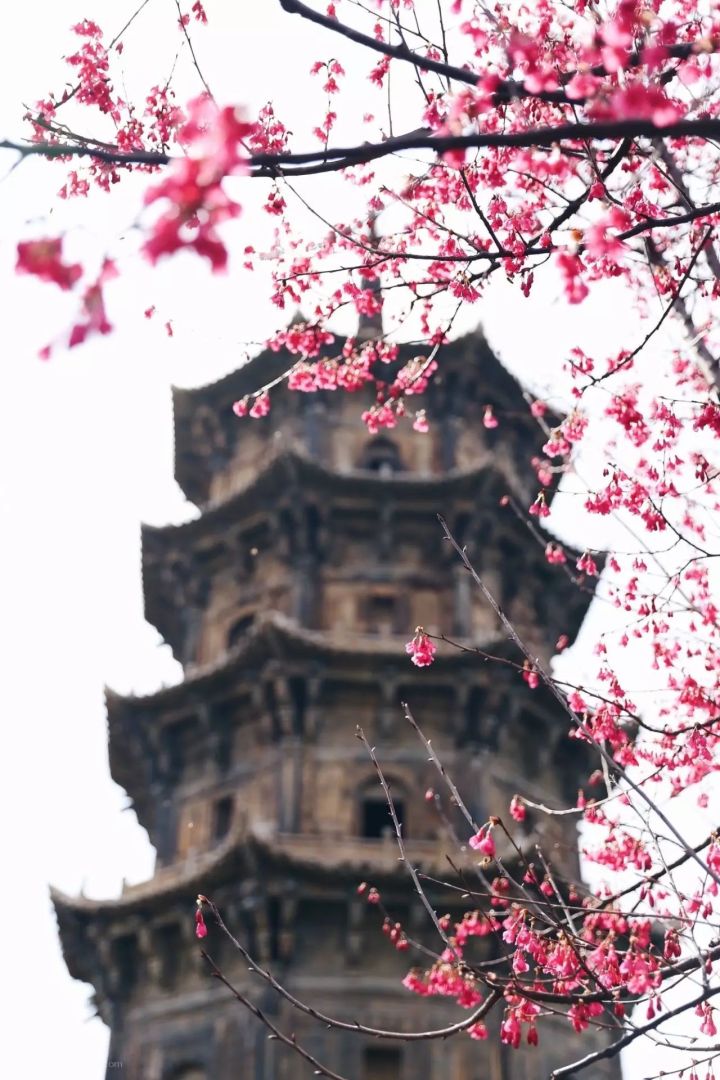 「泉州小众」藏着*月天五**阿信的故乡，有堪比“台湾”的闽南味道