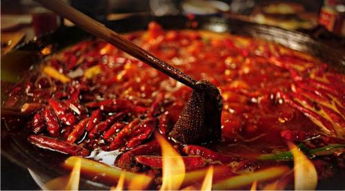 中华老字号毛肚,25年匠心