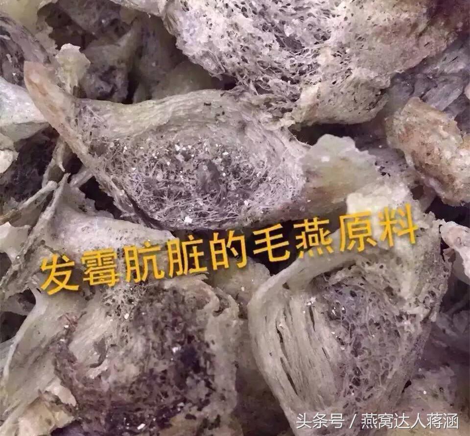 如何分辨真燕窝和假燕窝,燕窝造假小视频