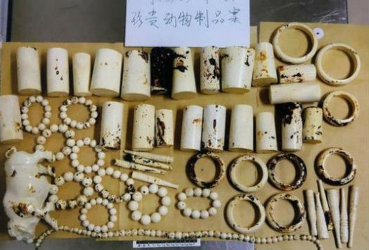 法官来了全部视频,法官来了完整版