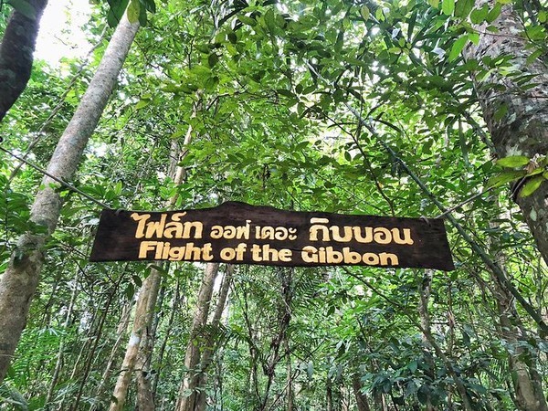 2024泰国泼水节攻略,2022年的泰国芭提雅泼水节