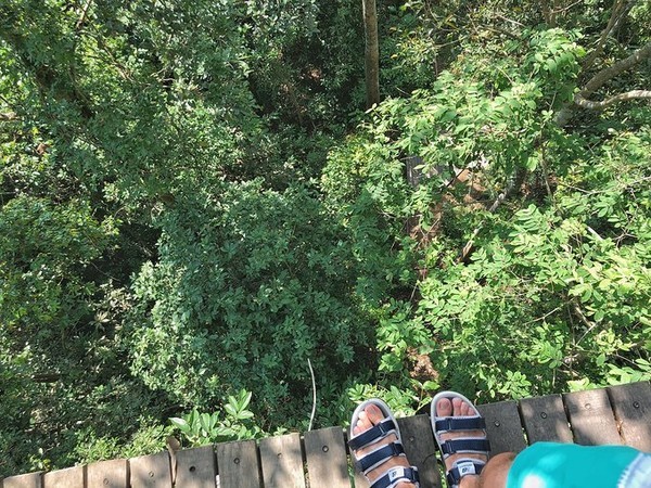 4月泰国泼水节攻略,芭提雅旅游数据泼水节