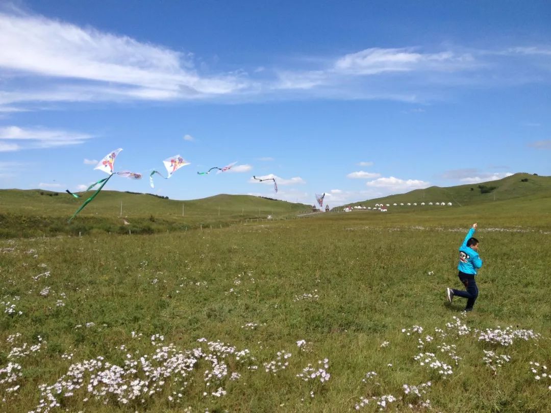 呼伦贝尔自驾游团购,呼伦贝尔团游4天3晚团购