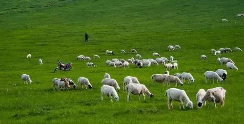 呼伦贝尔自驾游团购,呼伦贝尔团游4天3晚团购