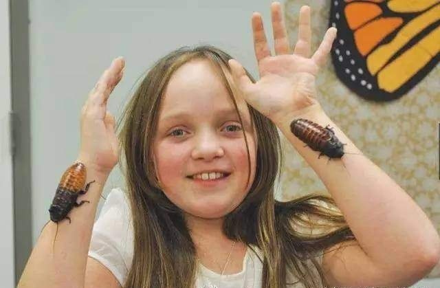 震惊世界的奇葩宠物,外国人养的奇葩宠物