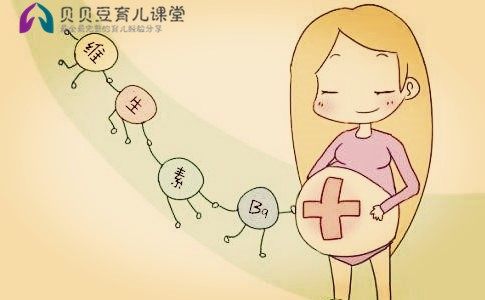 含叶酸多的食物和水果蔬菜有哪些,哪些食物含有叶酸和维生素a