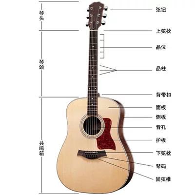 吉他新手怎么购买吉他,对于初学者购买吉他的建议