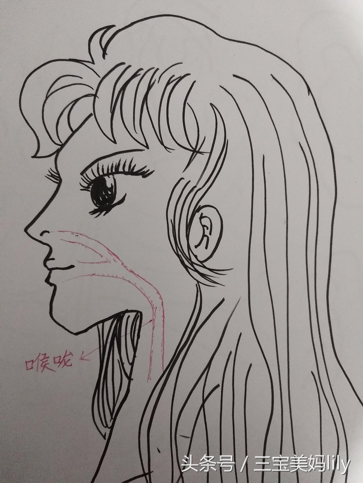 流鼻血了怎么办图片,流鼻血了怎么办教学反思