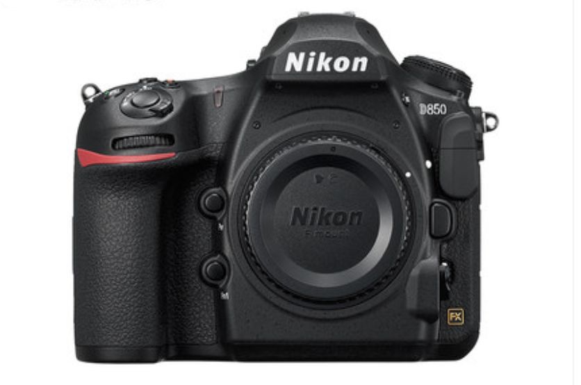 大个头的大智慧！来聊聊什么是单反