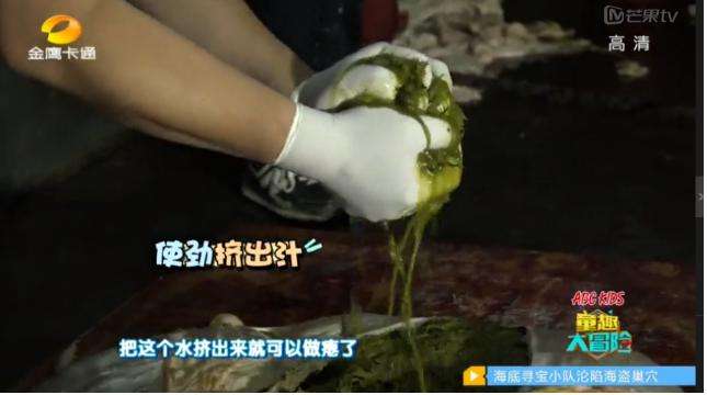 大麦青汁有什么功效减肥,大麦青汁的功效与作用是真的吗