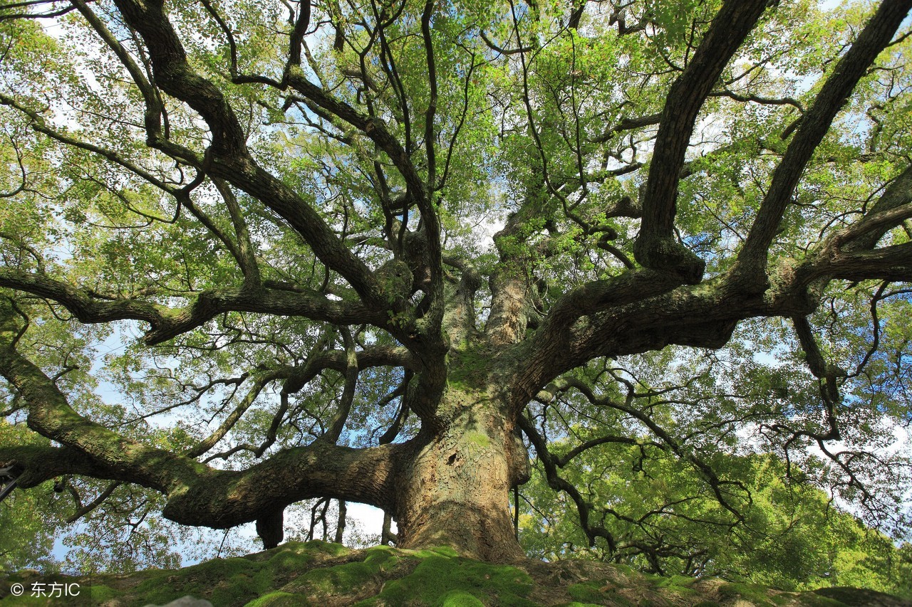美丽中国福建,美丽中国福建平潭