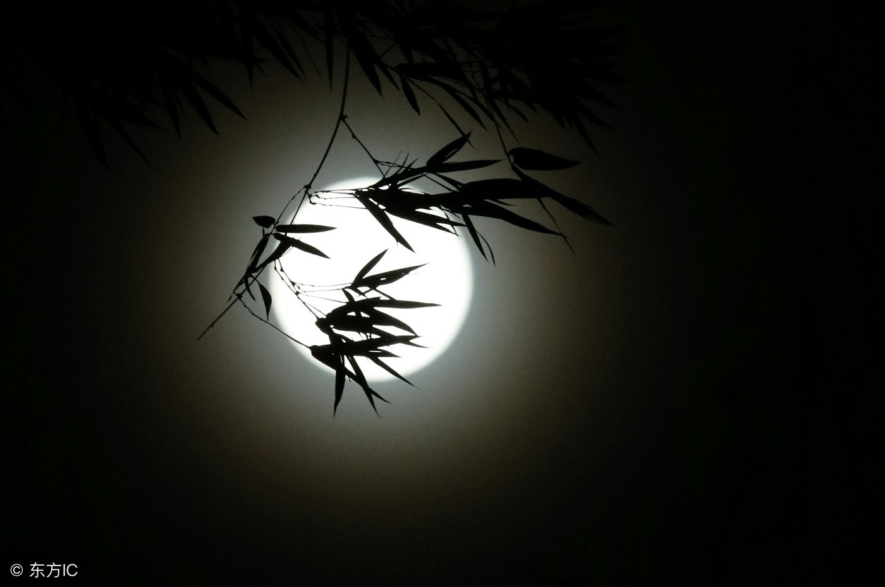 30首令人豪气顿生的诗词,待到秋天花开时的诗句