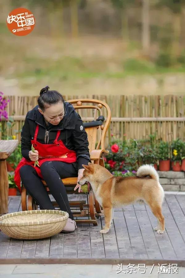 克林顿到北大演讲,克林顿和高晓松怎么沟通