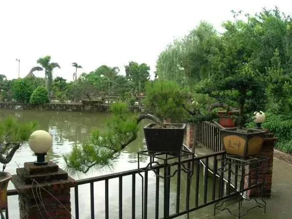 海南推出1000个共享农庄,海南共享农庄批几个村庄