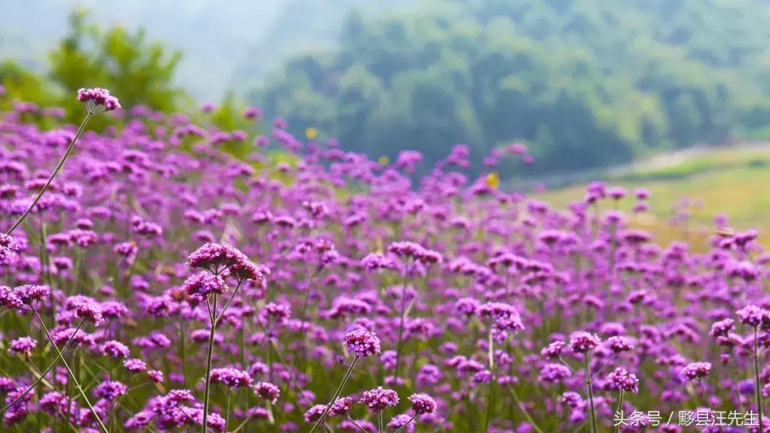 女朋友和老婆的定义是什么,女朋友和老婆的定义