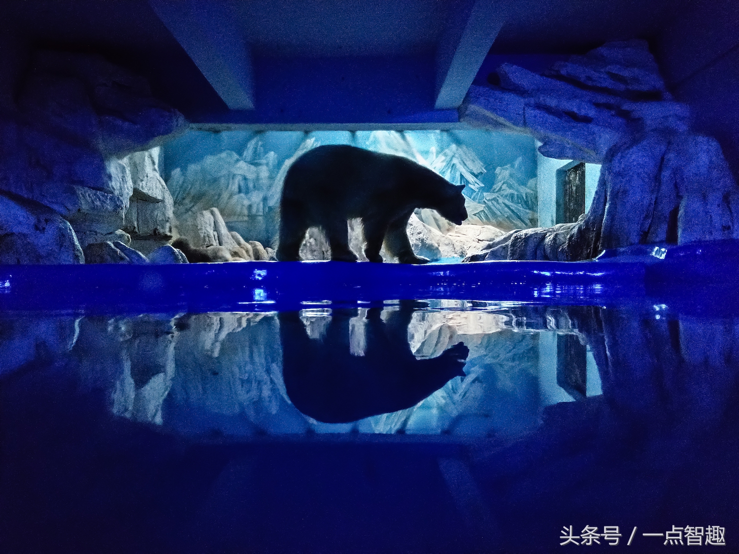 诺基亚x60多少钱一台,好用便宜的诺基亚拍照手机